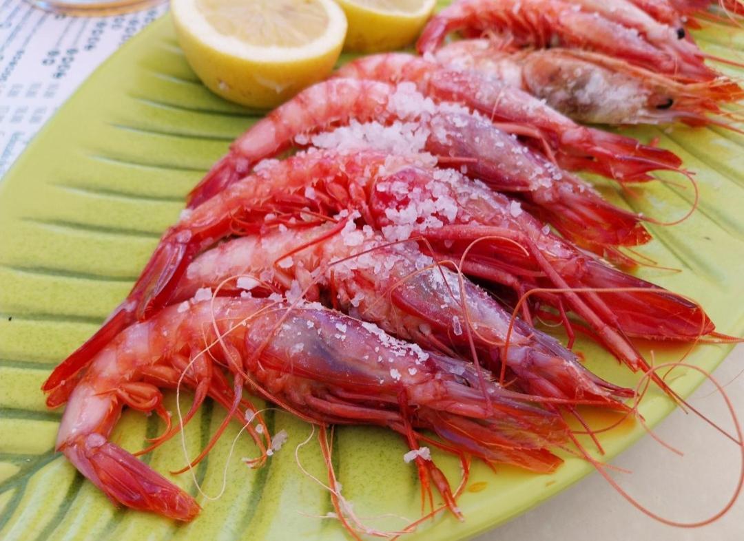 S&H La Malcriada San Juan de los Terreros Exteriér fotografie